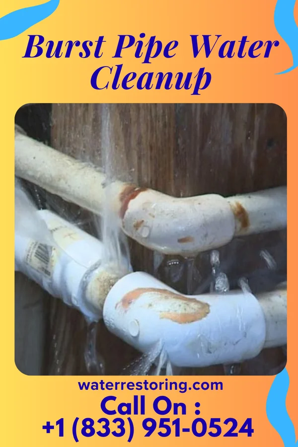 Burst Pipe Water Cleanup in Warwick, ND