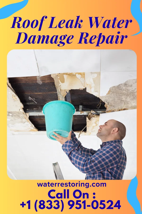 Roof Leak Water Damage Repair in Warwick, ND